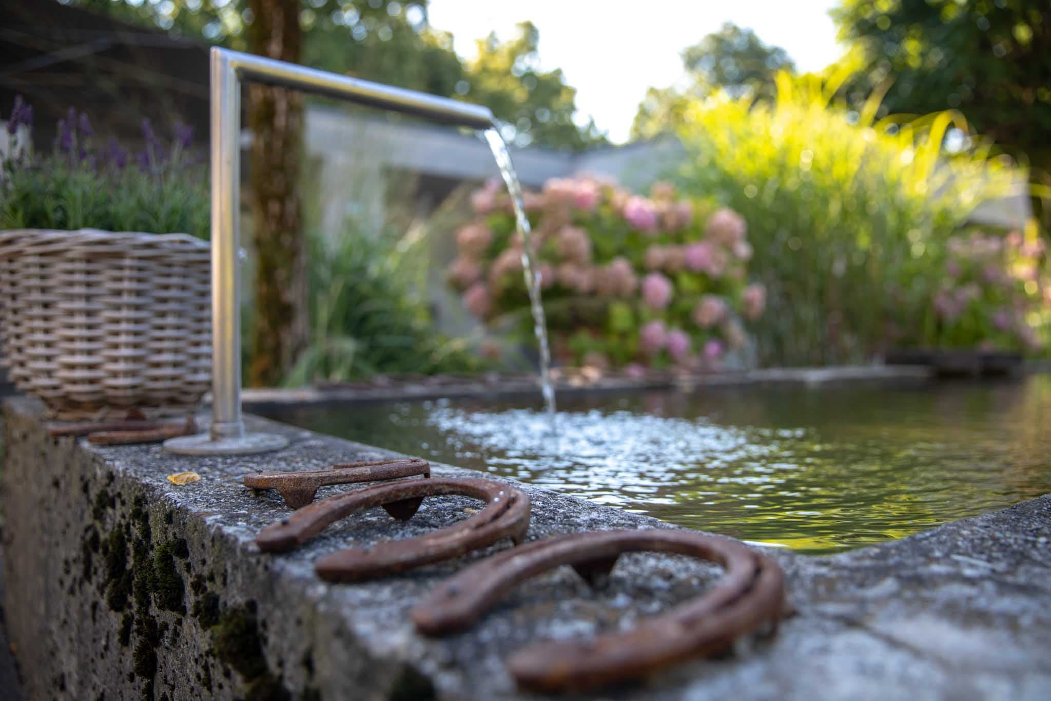Brunnen in Rinningen